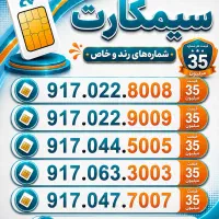 917.063.3003