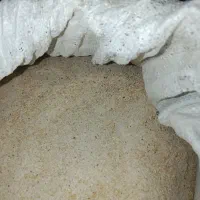 دان آسیاب شده جوجه