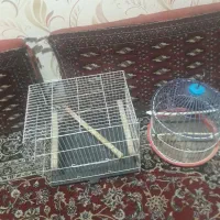 قفس|لوازم جانبی حیوانات|مشهد, گاز|دیوار