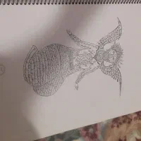 کتاب مجله