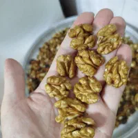 گردو محصول 1404 با پوست اسلاید بعدی رو ببینید|خوردنی و آشامیدنی|لاهیجان, بوجایه|دیوار