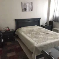 ۵۸متر یک خوابه/غربی های دوم‌ و سوم/مختص سخت پسندان|اجارهٔ آپارتمان|تهران, تهرانپارس غربی|دیوار
