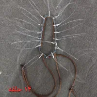 شناطه درجه یک|لوازم جانبی حیوانات|هندیجان, |دیوار