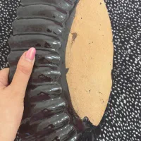 ظرف میوه خوری نو|ظروف سرو و پذیرایی|رشت, گلباغ نماز|دیوار