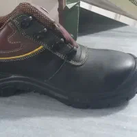 پوتین نو ایمنی