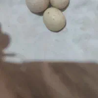 سنگ آسیاب و غیره