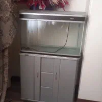 آکواریوم ماهی|ماهی|میانه, |دیوار