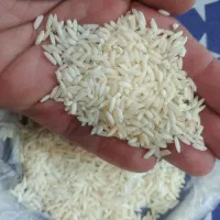 برنج آستانه اشرفیه