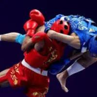 کلاس های رزمی ووشو