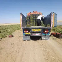 حمل بار با خاور