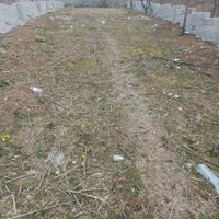 فروش زمین 356 متر مسکونی ویو ابدی روستای لولاک|فروش زمین و ملک کلنگی|زیرآب, |دیوار