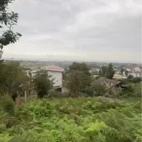 زمین-پلاک-1-جنگل-منطقه-برند-سند-6دانگ-بافت-مسکونی