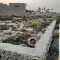 زمین 359 متری نزدیک بنه گز|فروش زمین و ملک کلنگی|اهرم, |دیوار