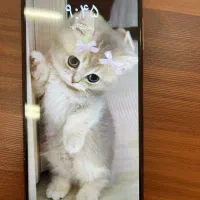 گوشی موبایل