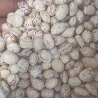 فروش وخریدار کلیه مواد غذایی وحبوبات|خوردنی و آشامیدنی|شیراز, پودنک|دیوار