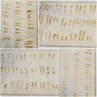 انواع گوشواره سبک و سنگین ، بدون ااجرت ،ایران،زمین