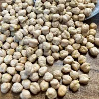 فروش نخود آبگوشتی درجه ۱