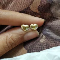 گل گوش یا گوشواره میخی