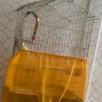 قفس بزرگ پرنده عروس هلندی طوطی