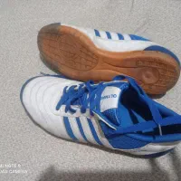 کتونی  سالنی