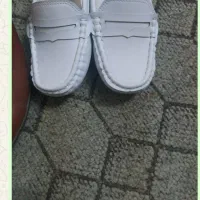 کفش|کیف، کفش، کمربند|علیآباد کتول, |دیوار