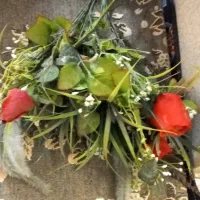 گل قرمز با شاخ و برگ