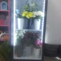 یخچال ایستاده