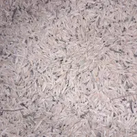 جو محلی|لوازم جانبی حیوانات|خواجه, |دیوار