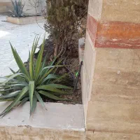 طراحی نصب آبیاری قطره ای تهران حومه باقیمت مناسب|خدمات باغبانی و درختکاری|تهران, مهران (سیدخندان)|دیوار