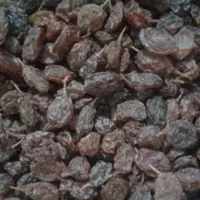 کشمش و سرکه خانگی، آلو بخارا|خوردنی و آشامیدنی|شاهین‌شهر, فردوسی|دیوار