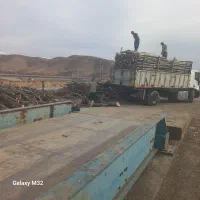 استخدام نگهبان  وکاردرچوبری وتوزین باسکول|استخدام سرایداری و نظافت|الشتر, |دیوار