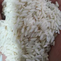 برنج ممان میانه عطری درجه یک|خوردنی و آشامیدنی|بهارستان, |دیوار