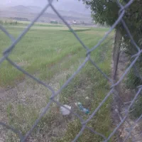 زمین زراعی|فروش دفتر صنعتی، کشاورزی، تجاری|قم, آزادگان|دیوار