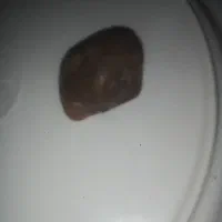 شهاب سنگ|کلکسیون اشیاء عتیقه|مشهد, انصار|دیوار