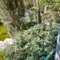 راهنمای میکنم بابت رانندگی