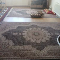 فروش دوعدد فرش ریز ماهی