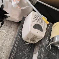 سیب زمینی سرخ کن