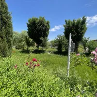 رهن و اجاره باغ ابتدای شاندیز(ویرانی)|اجارهٔ خانه و ویلا|شاندیز, |دیوار