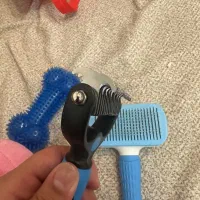 برس تخلیه سگ و گره باز کن و اسباب بازی|لوازم جانبی حیوانات|تهران, زعفرانیه|دیوار