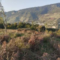 زمین خارج بافت زارعی|فروش زمین و ملک کلنگی|فریم, |دیوار