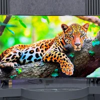 الجی2025 فورکی