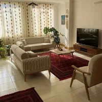 مینیمال  سوگل