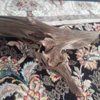 چوب ابنوس|ماهی|تالش, هشتپر|دیوار