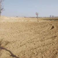 فروش زمین|فروش زمین و ملک کلنگی|تربتحیدریه, بالا ولایت|دیوار