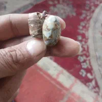 مهره سلطانی موکلداروفعال