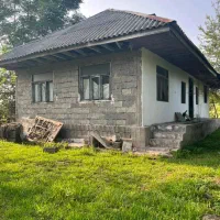 خانه محوطه باشالیزار5000متردریک لوکیشن روستایی بکر|فروش زمین و ملک کلنگی|رشت, سعدی (تختی)|دیوار