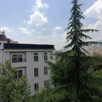 نیاوران/ ۳۱۵متر۴خواب/۴پارکینگ/ مشاعات آبی|فروش آپارتمان|تهران, نیاوران|دیوار