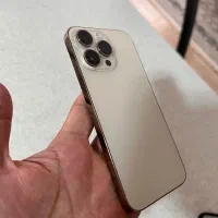 ۱۴ پرومکس گلد