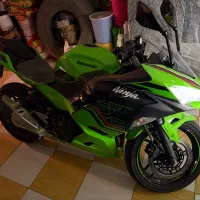 نینجا ۲۵۰ دو سیلندر