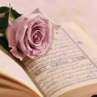 سرکتاب